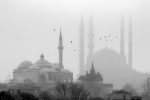 Salon Honorable Mention